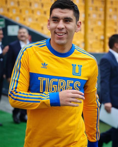 tigres adidas originals